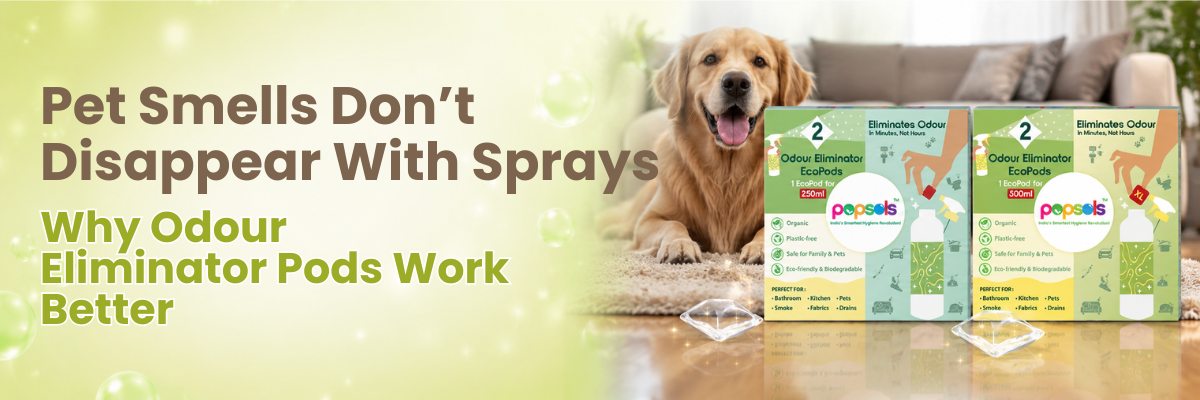 Pet Smells Don’t Disappear With Sprays: Why Odour Eliminator Pods Work Better